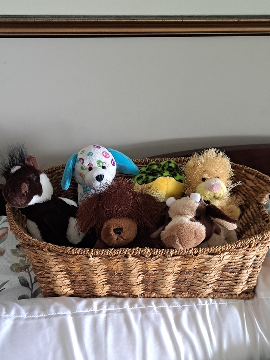 webkinz Other - Adopt a Webkinz! (NO CODES)